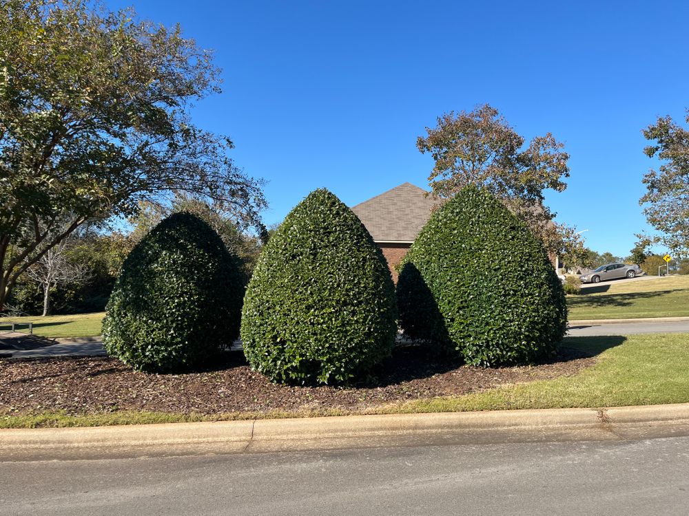 All Photos for Vickers Lawns in Ardmore, Al