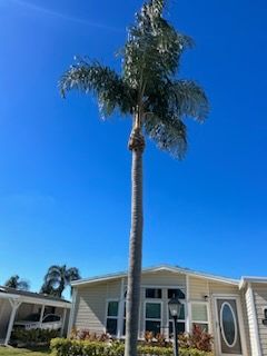 All Photos for Greener Horizons Landscape Management in Port St. Lucie, FL