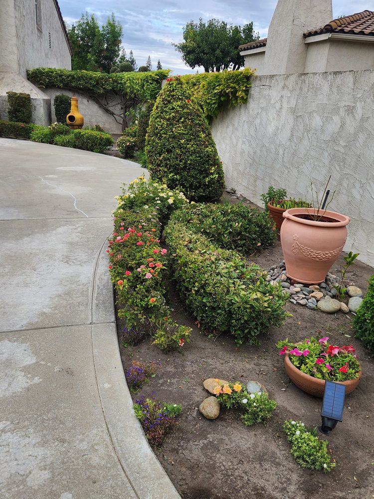 Our gardening service provides expert care for your plants and outdoor space, including planting, pruning, weeding, and lawn maintenance to ensure a beautiful and flourishing garden all year round. for Vargas LANSCAPE LLC in Stockton, CA