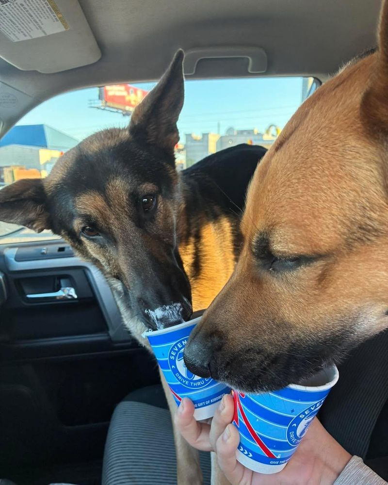 Exterior Detailing for Josue’s Mobile Detailing in Enterprise, AL