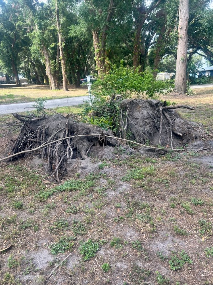 All Photos for Greene Acres Stump Grinding in Plant City, FL