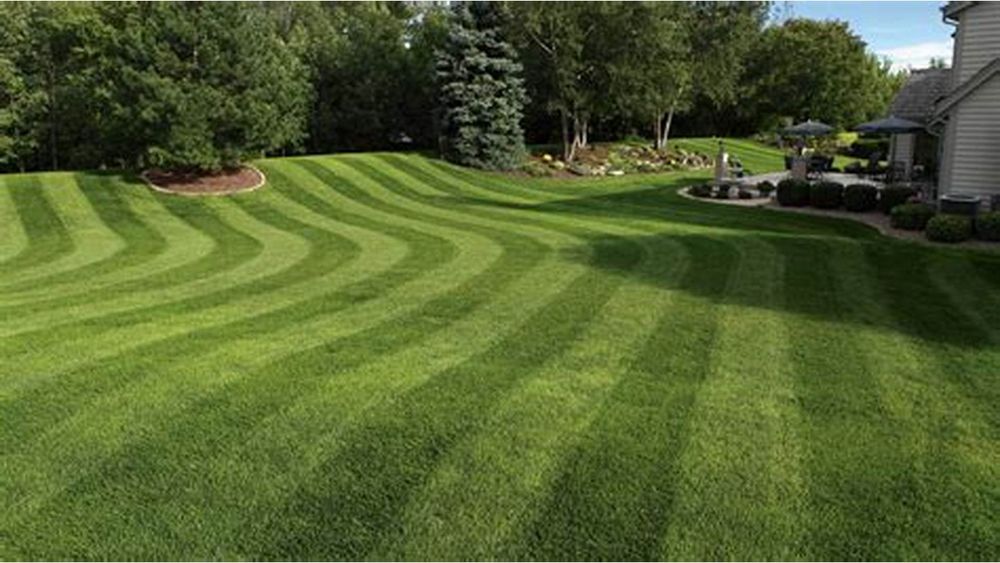 Lawn Care for Adan landscaping 11 inc in Chicago, IL