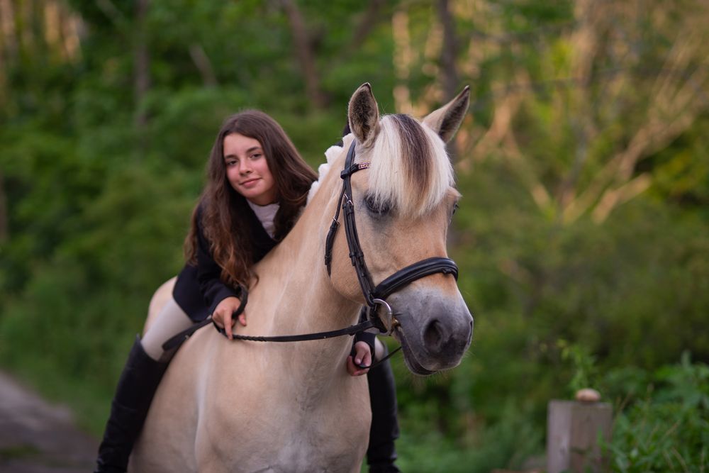 Lessons for Blue Stone Farm in Wantage, NJ