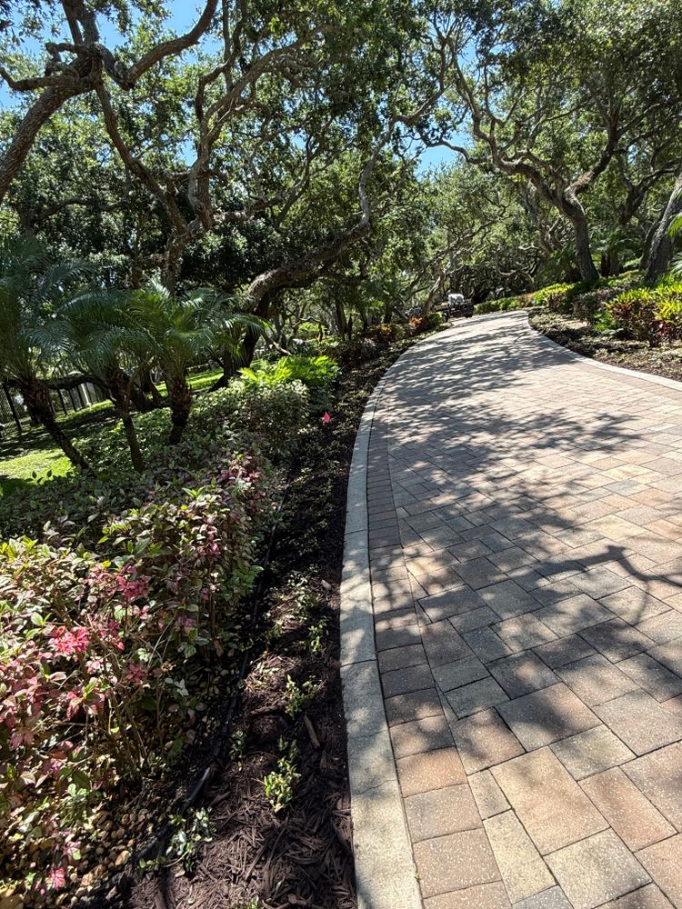 All Photos for Vanic's Landscaping in South Daytona, FL