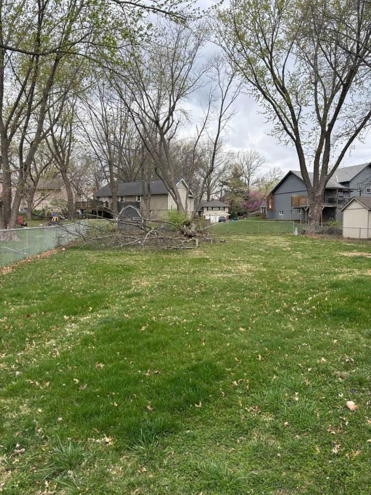 Tree Removal for Cross Family Tree Service in Kearney, MO