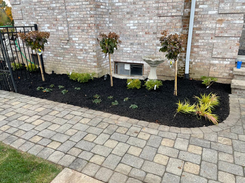 All Photos for Adams Landscaping in Springfield, MA