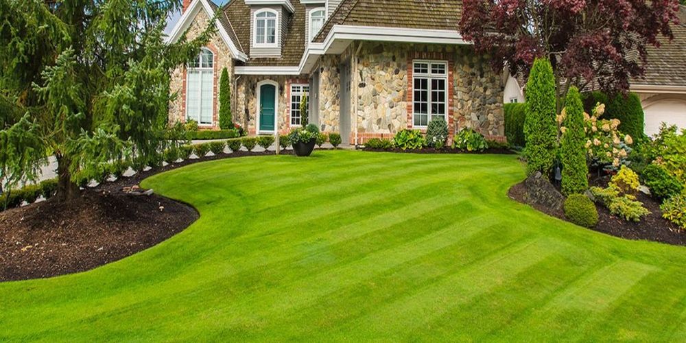 Lawn Care for Adan landscaping 11 inc in Chicago, IL