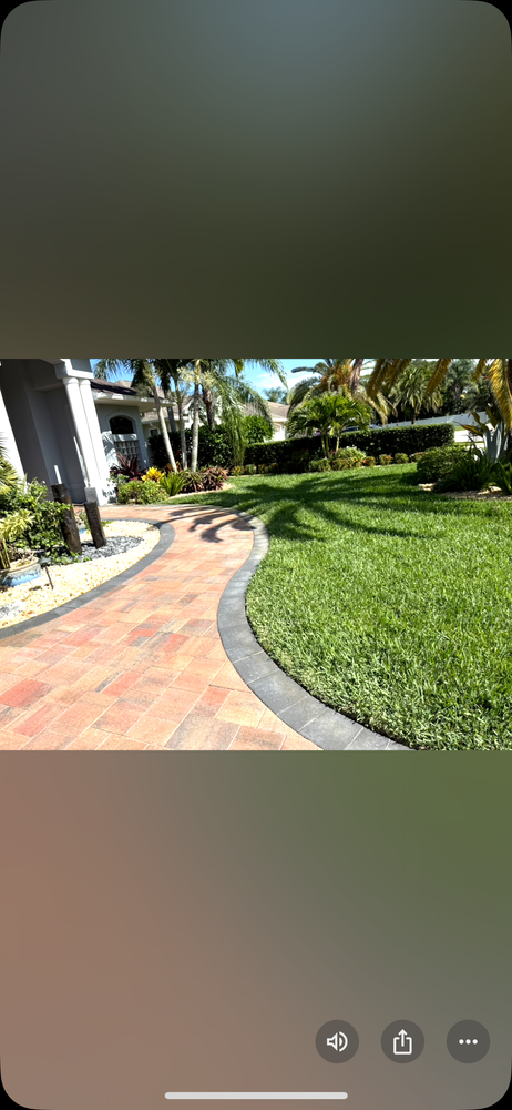 All Photos for Epic Vine Design in Melbourne, FL