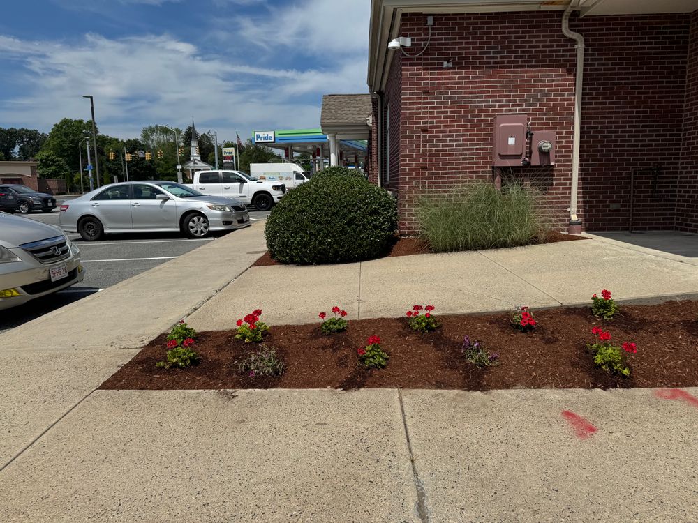All Photos for Adams Landscaping in Springfield, MA