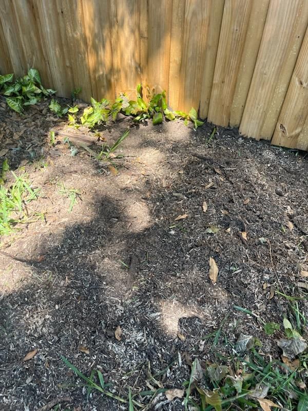 All Photos for KB’s Stump Removal in Pinellas county, FL