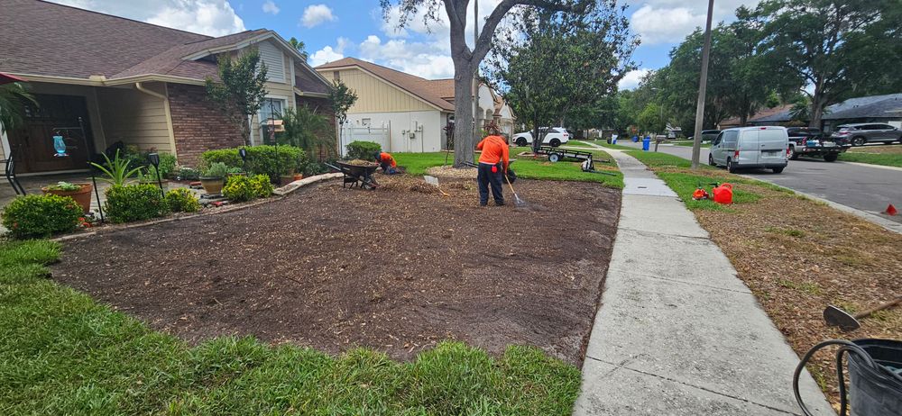 All Photos for Tezna Landscaping, Trees & Pavers in Valrico, FL