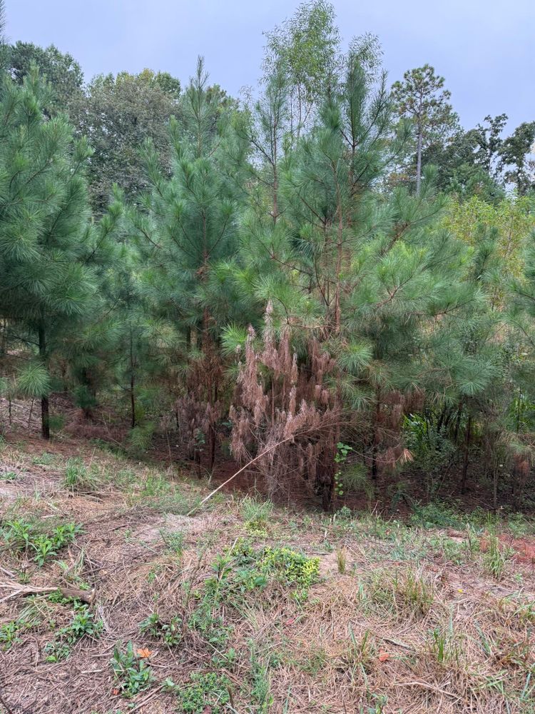 All Photos for SodGods Lawncare and Landscaping in Fayetteville , NC