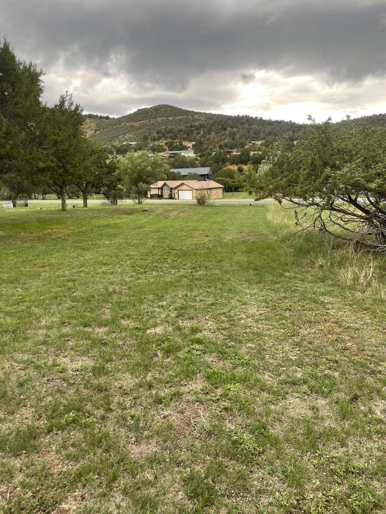 Our professional weeding service removes invasive weeds, protects your grass and plants, and keeps your lawn healthy, tidy, and beautiful—saving you time while improving curb appeal year-round. for G&B Yard Service in Ruidoso Downs, NM