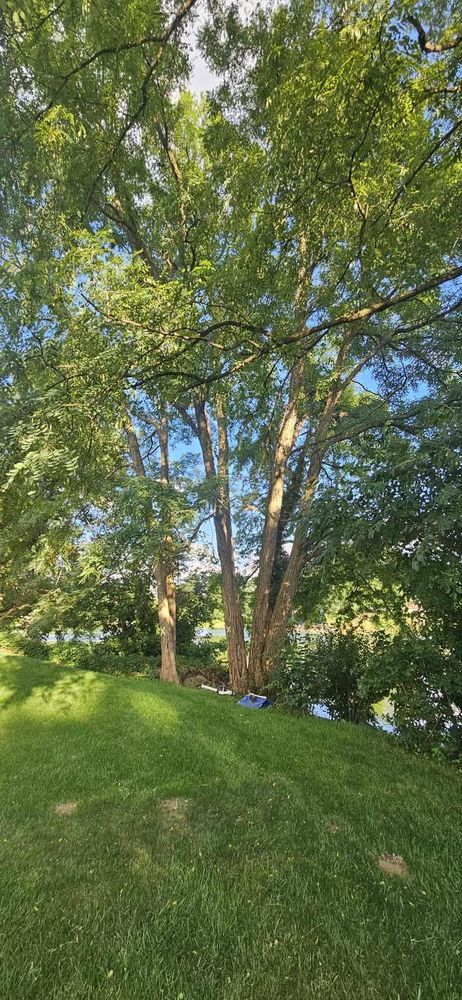 All Photos for Highborn Tree Service in Wheatfield, IN