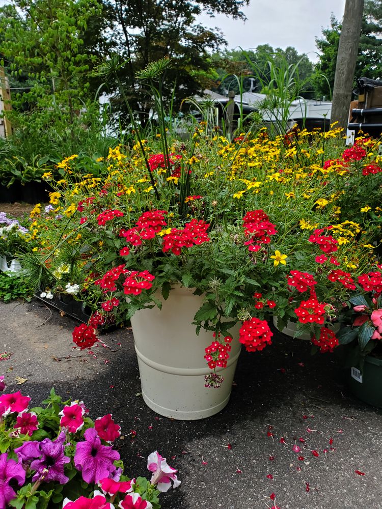 All Photos for Evolution Earthscapes, LLC in Ludlow, MA