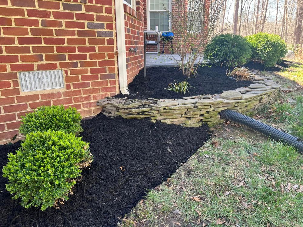 All Photos for Branch Out Tree Care LLC in Fredericksburg, VA