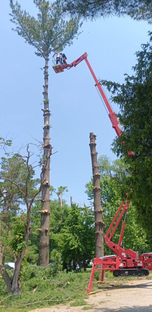 All Photos for Lawn Ranger Yard And Tree Service LLC in Ottumwa, IA