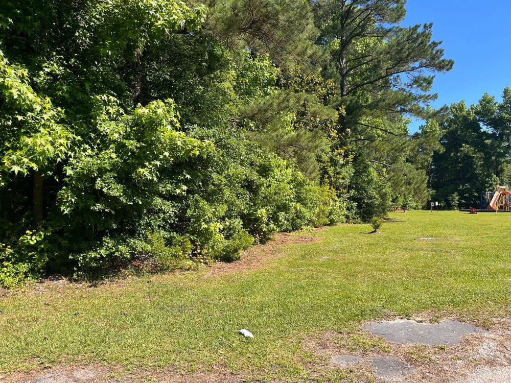 Our professional mowing service ensures a perfectly manicured lawn, enhancing your home's curb appeal with precise trimming, edging, and clean-up for a pristine outdoor space you'll enjoy every day. for Ty's and Sons in Burgaw, NC