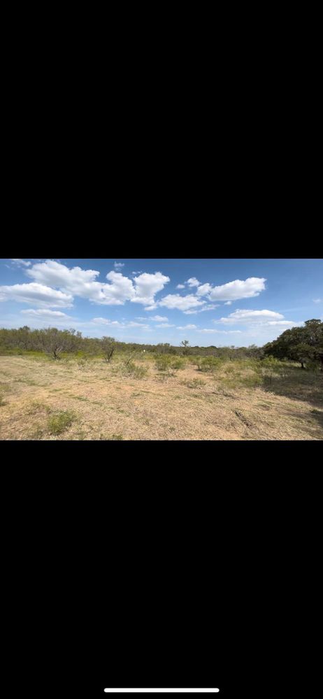 Land Clearing for D&D Custom Services in Jacksboro,  TX