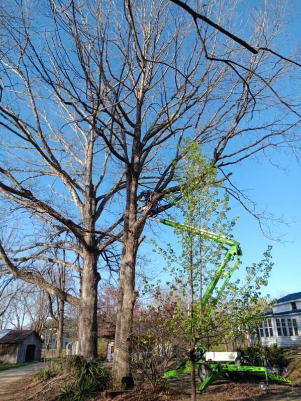 All Photos for Backwoods Tree Experts in Hickory, NC