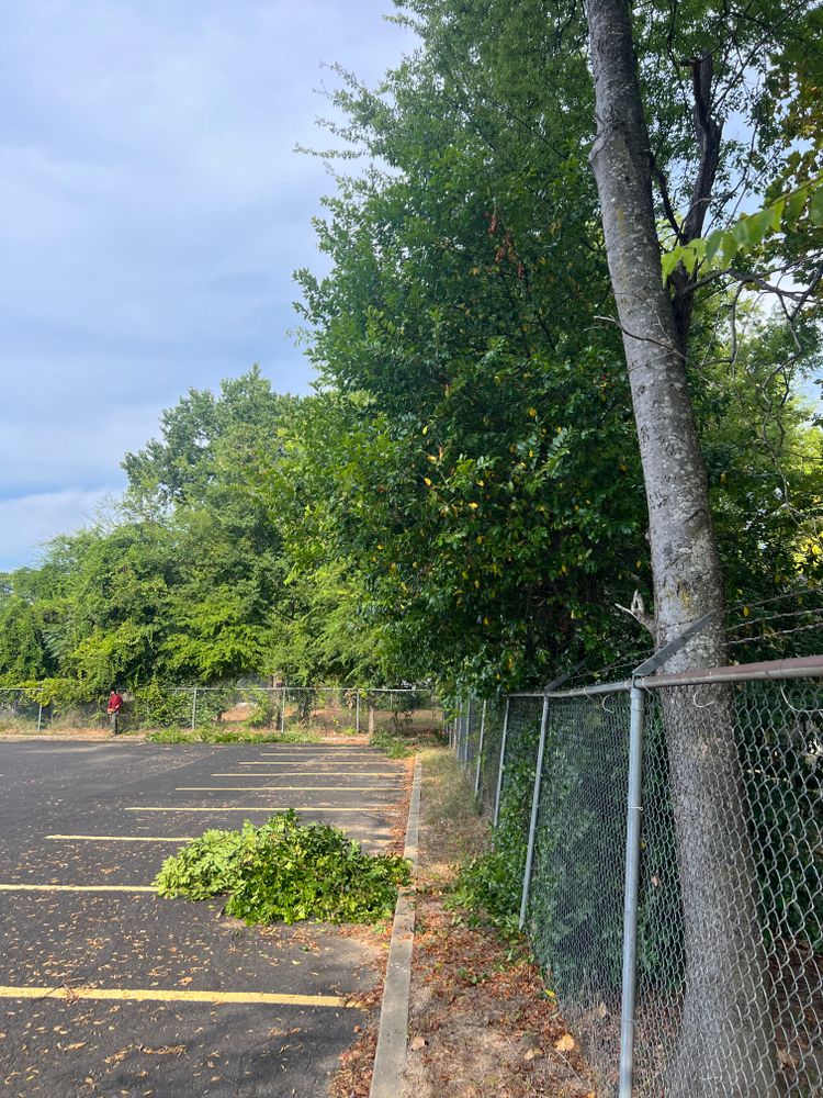 All Photos for Best Price Tree Service in Hallsville, TX