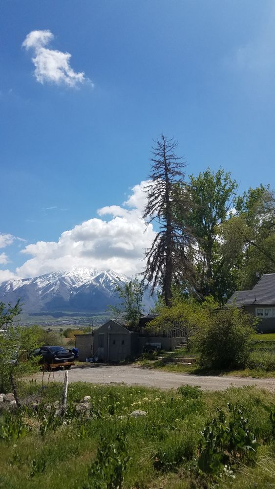 All Photos for Platinum Lawn Service in Santaquin, UT