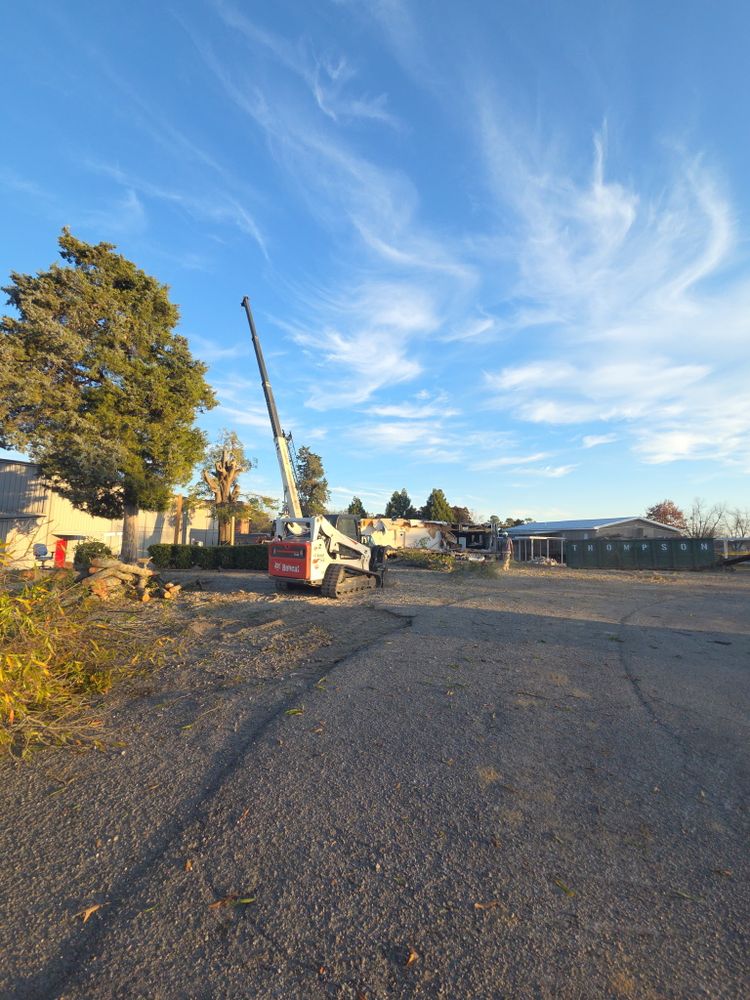 All Photos for Trees Unlimited of the CSRA in Augusta, GA