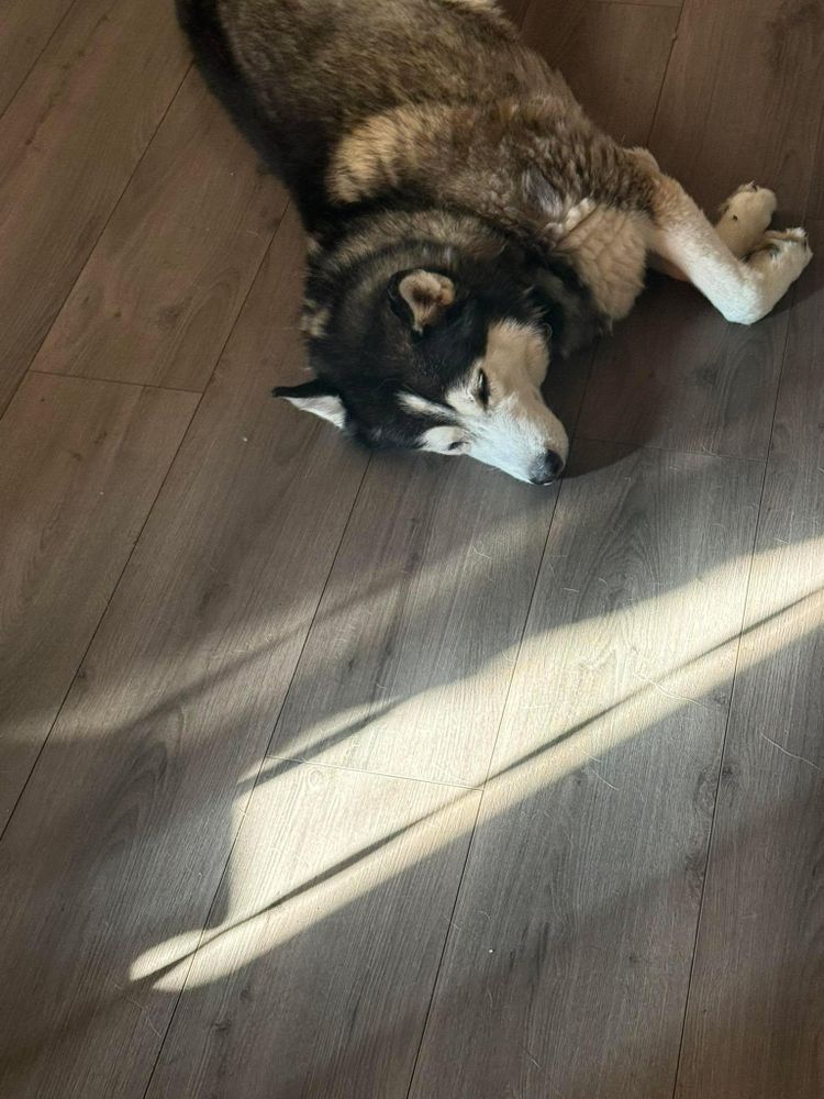 All Photos for Campbell Quality Construction in Apache Junction, AZ