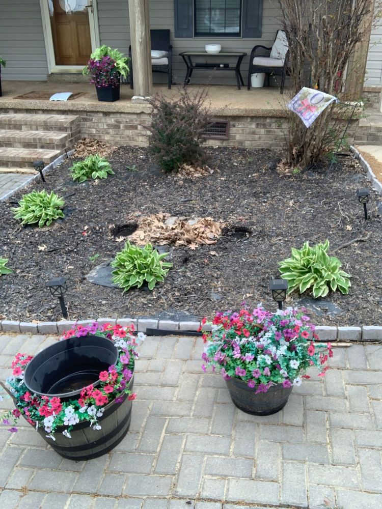 All Photos for Apex Lawn & Landscaping INC in Dyersburg, TN
