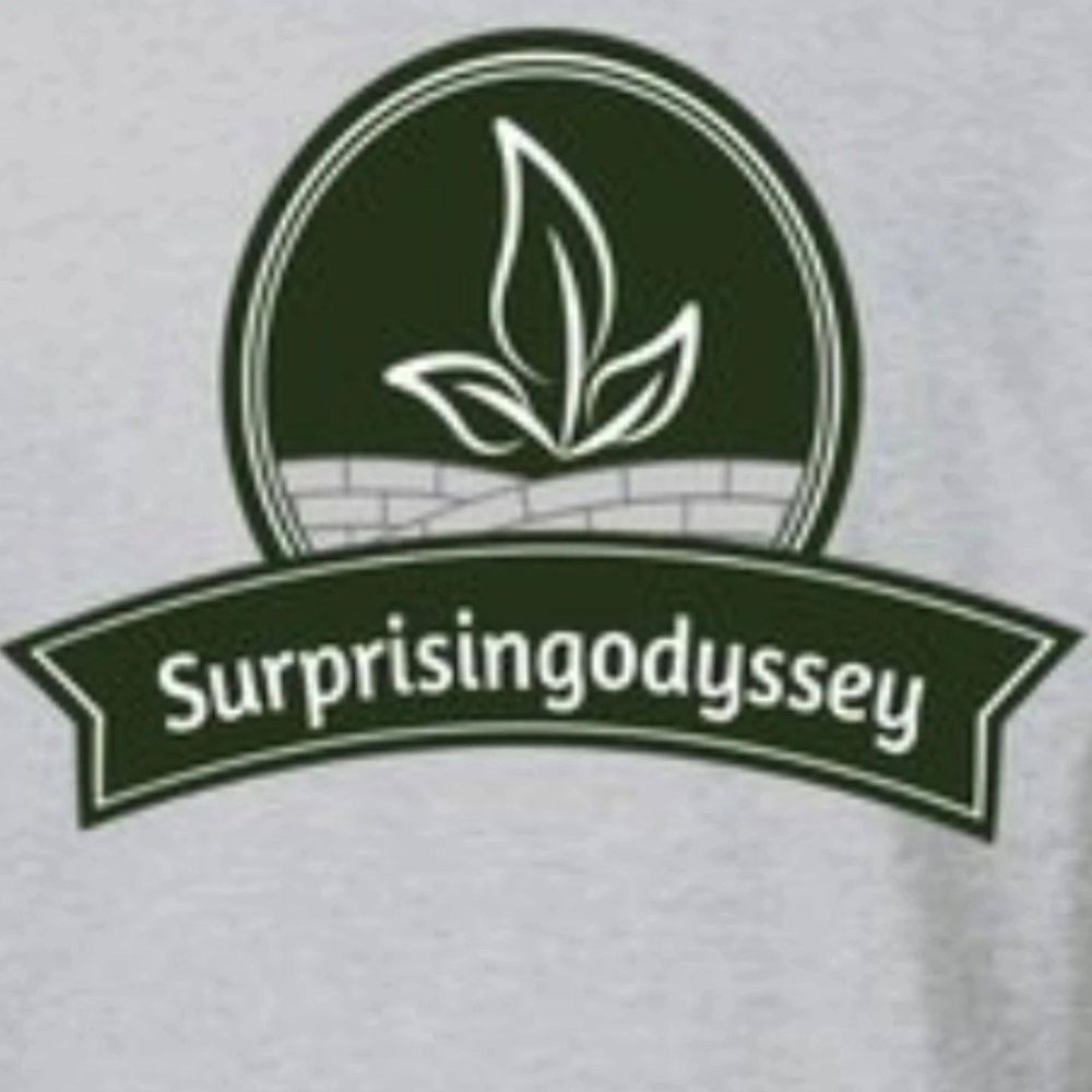 All Photos for Surprising Odyssey in Gibsonville, NC