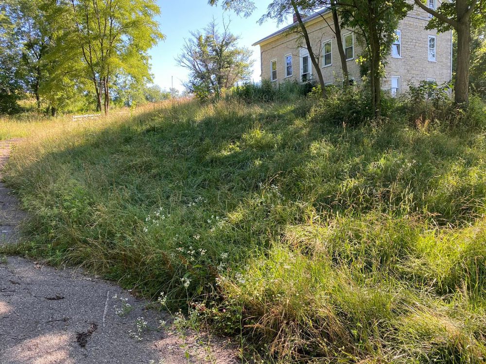 All Photos for A1 Bush Hogging & Lawn Service in Columbus, OH