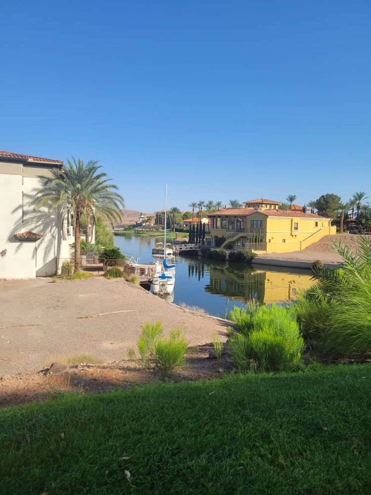 Protect your home with our residential pest control service, eliminating Scorpions, ants, spiders, rodents, and more through safe treatments, thorough inspections, and customized prevention plans for lasting comfort year-round. for Niko's Pest Control in Las Vegas, NV