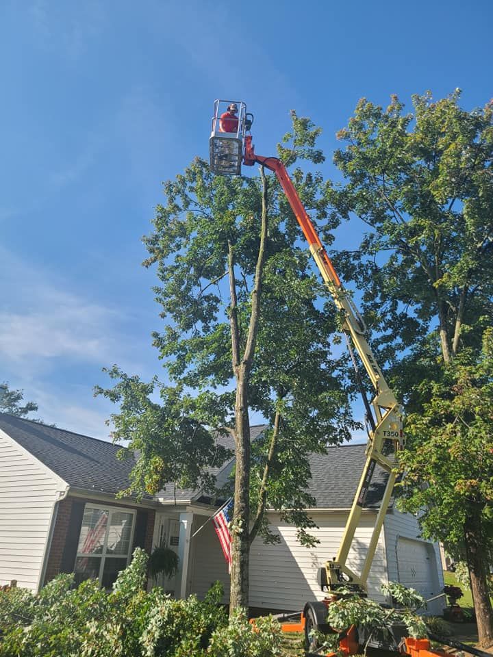 Tree Service for Paradise Landscaping and Tree Service in Greenville, SC