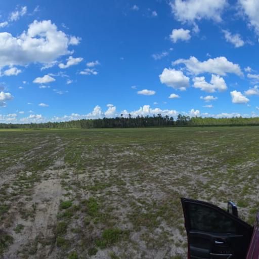 All Photos for Giles Land Management, LLC in Hahira, GA