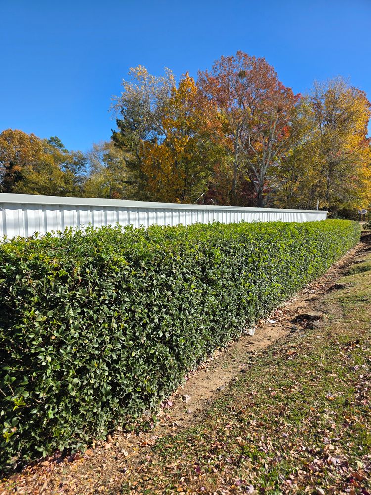 All Photos for DMD Painting in East Flat Rock, NC