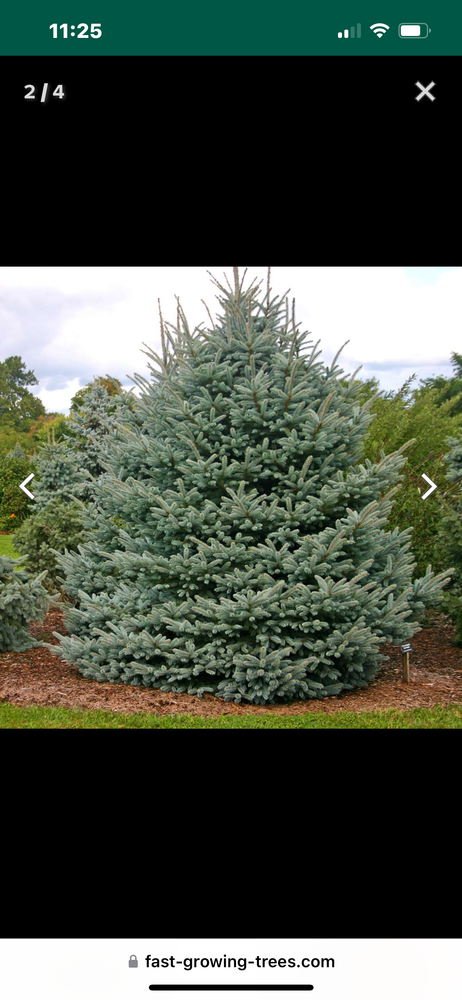 All Photos for Trim Seasonal Services in Milwaukee, WI