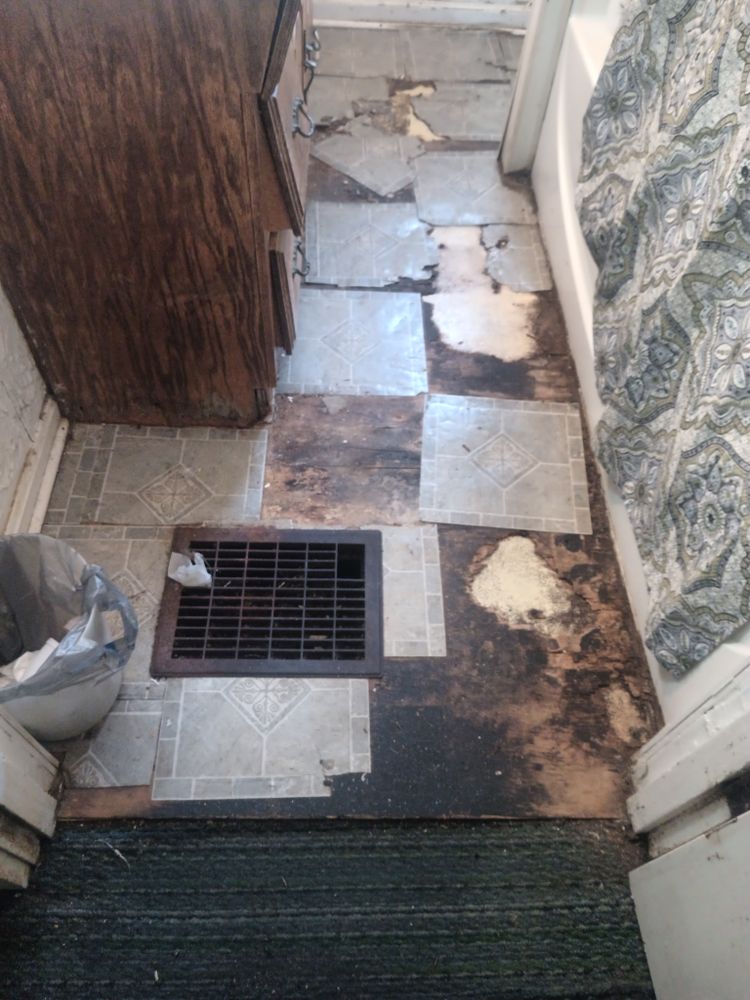 Bathroom overhaul for Ins & Outs Home Repair, LLC in Madison County, IL