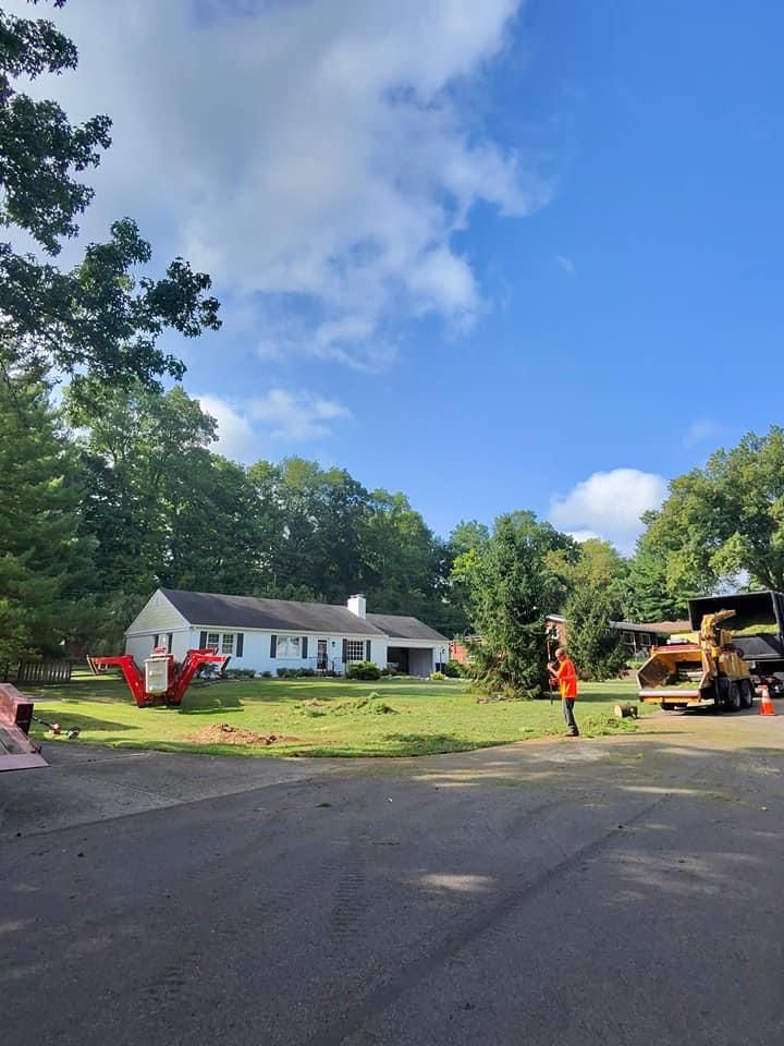 All Photos for F & F Tree Service in Beavercreek, OH