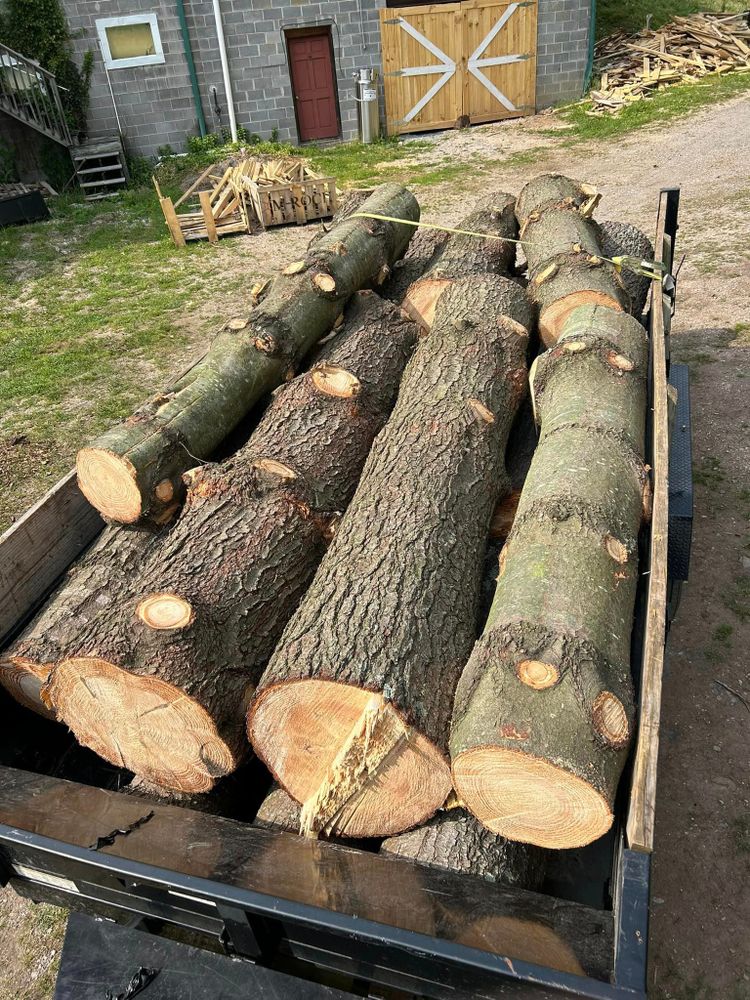 Our Tree Removal service provides professional and efficient solutions for homeowners looking to remove trees from their property effectively and safely. for NRV Tree Pro, LLC in Narrows, VA