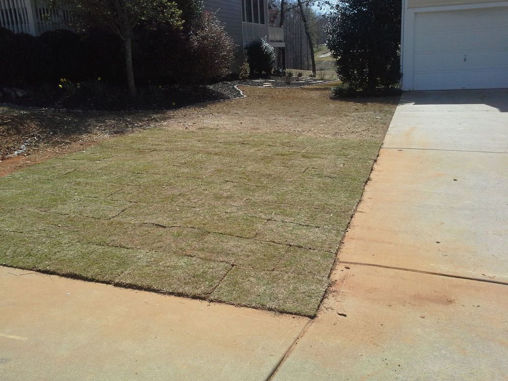 All Photos for Terra Bites Lawn Service in Jefferson, GA