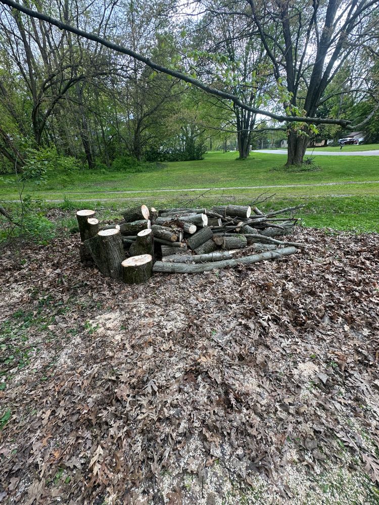 Tree Removal for Blakescape in Elkhart, IN