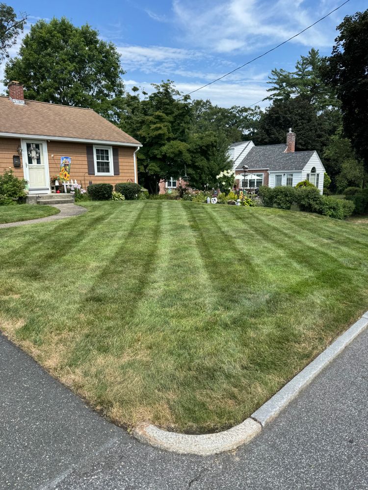 All Photos for Adams Landscaping in Springfield, MA