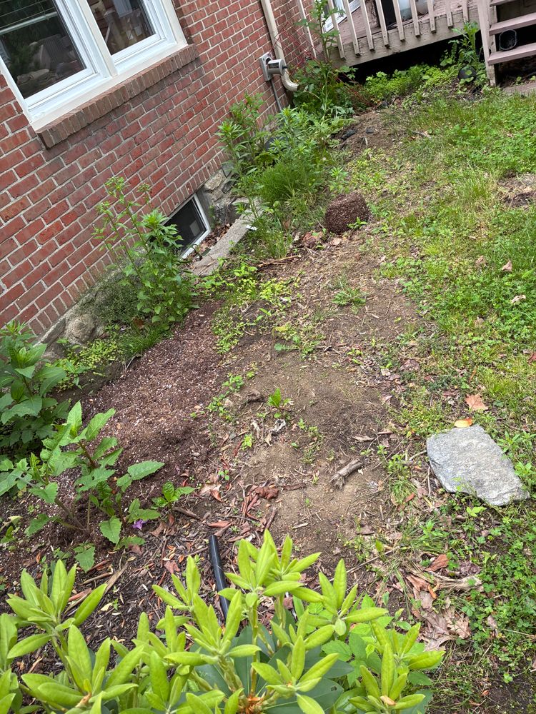 All Photos for JAD Excavating LLC in Goshen, CT