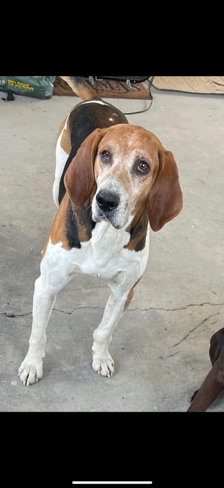 All Photos for Lucky’s Tree Removal and Landscape Services in Knoxville, TN