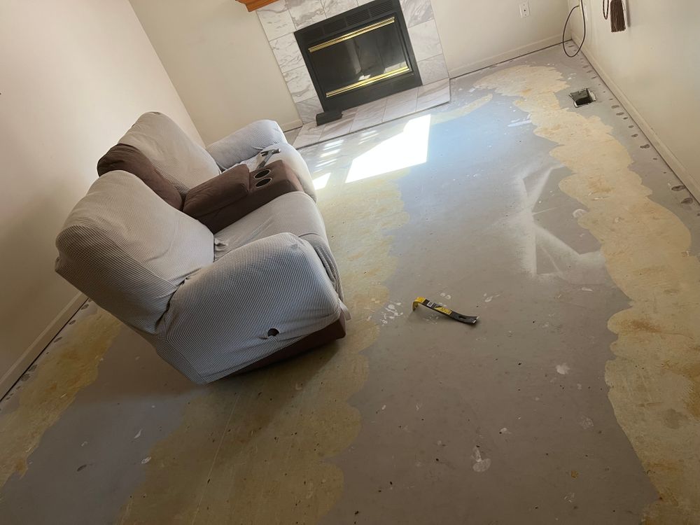 All Photos for Dib 896 Flooring in Dearborn Heights, MI