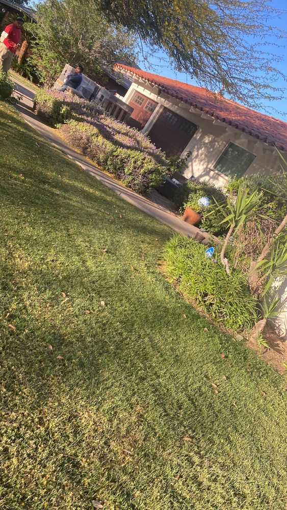 Landscaping for Kanelo's Hardscape and Landscape Services in Buckeye, AZ