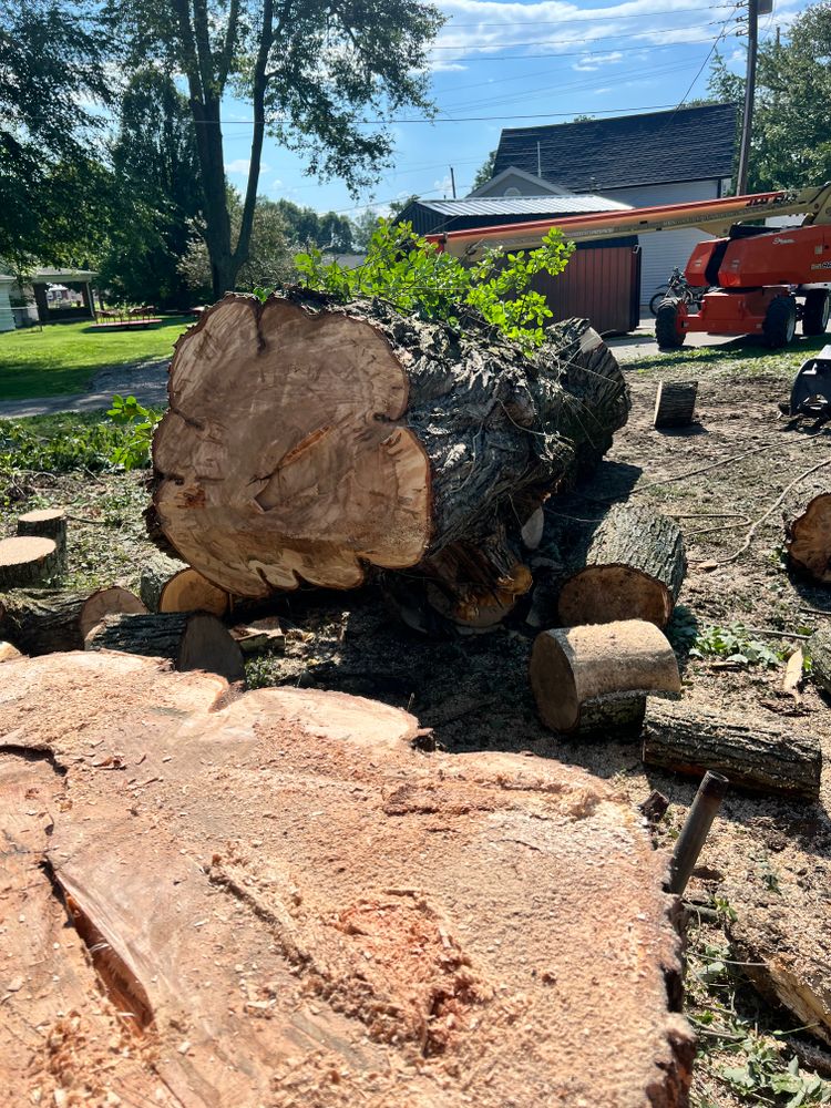 All Photos for Kadin’s Tree Service in North Vernon, IN