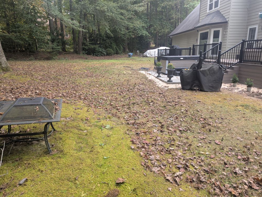 All Photos for Fantastic Lawn Care LLC in Fayetteville, GA