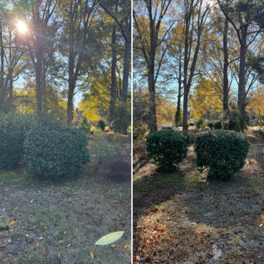 Mowing for Paul's Lawn Care and Pressure Washing in Wilson, NC