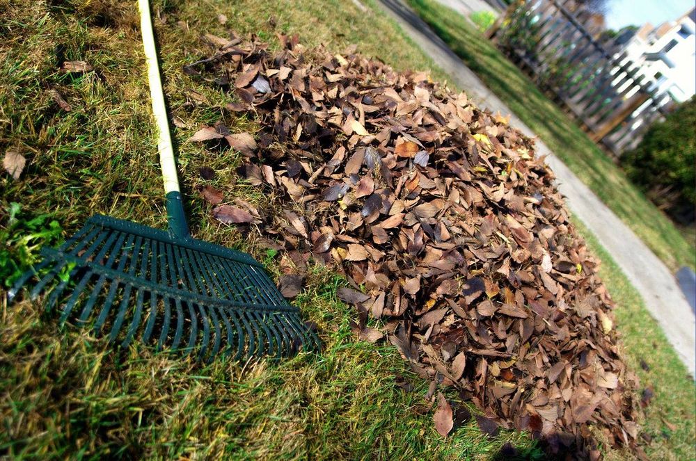 Our Fall Clean Up service ensures your property is ready for winter by removing leaves, debris, and preparing plants for the cold season. Trust us to maintain your landscape beautifully year-round. for 1 Friendly Lawn Service in Tampa, FL